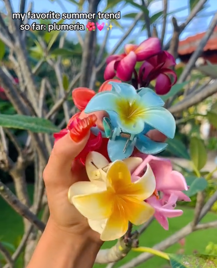 FLOWERCLIP H19